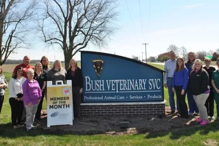 Bush Veterinary Services