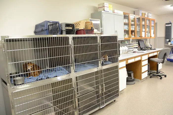 Bush Veterinary Services 12