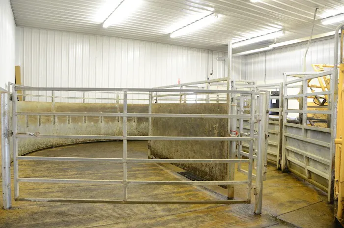 Bush Veterinary Services 12