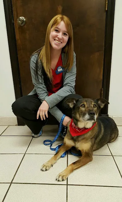 Pet Care Clinic of Kokomo 4