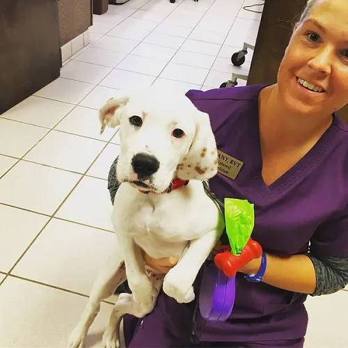 Pet Care Clinic of Kokomo 6