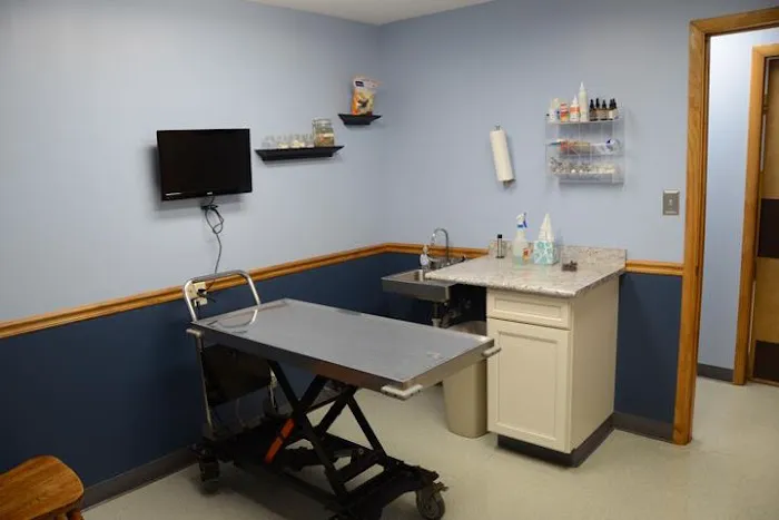 Airport Veterinary Clinic 12