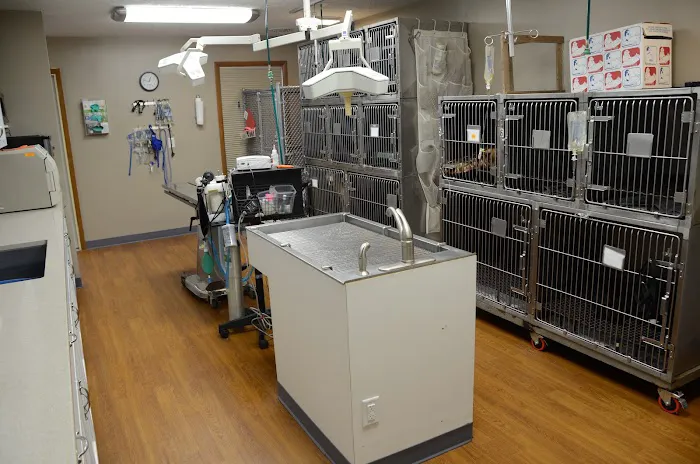 Airport Veterinary Clinic 12