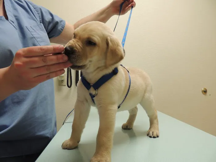 Heritage Animal Hospital Inc 12