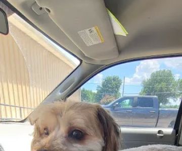 Wabash Valley Animal Hospital