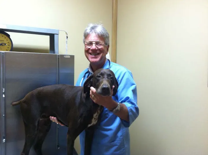 Wabash Valley Animal Hospital 12
