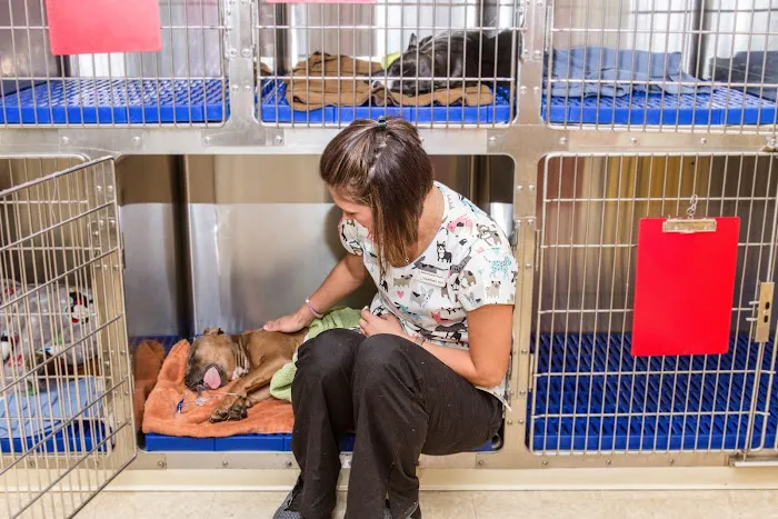 Brown Veterinary Hospital 12