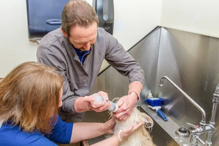 Brown Veterinary Hospital 12
