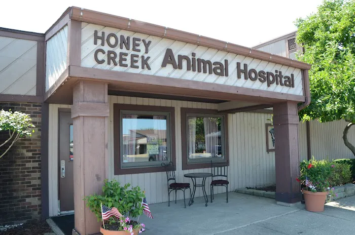 Honey Creek Animal Hospital 12