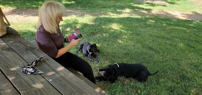 Honey Creek Animal Hospital 12
