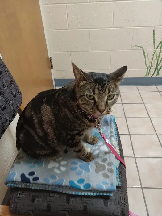 Honey Creek Animal Hospital 12