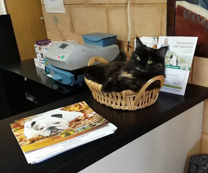 Honey Creek Animal Hospital 12