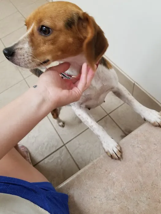 West Central Veterinary Services - Rockville 12