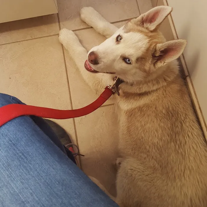 West Central Veterinary Services - Rockville 12