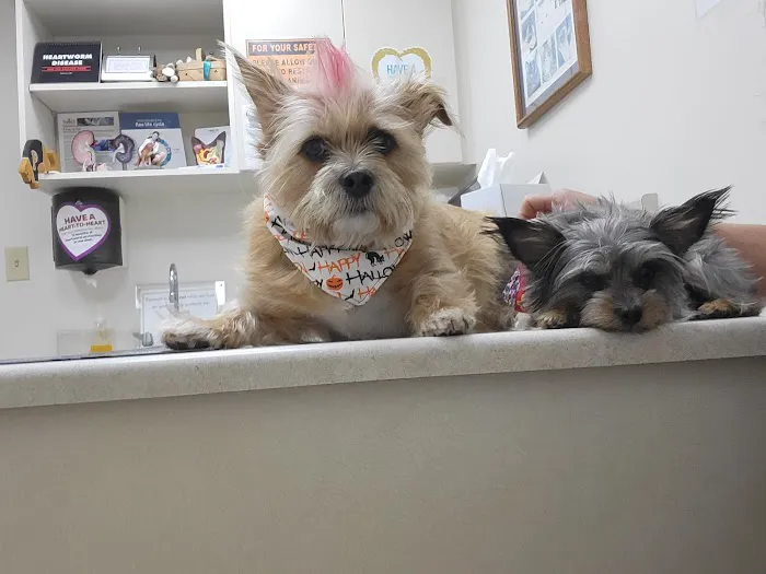West Central Veterinary Services - Rockville 12