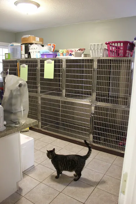 Heal Pet Care 12