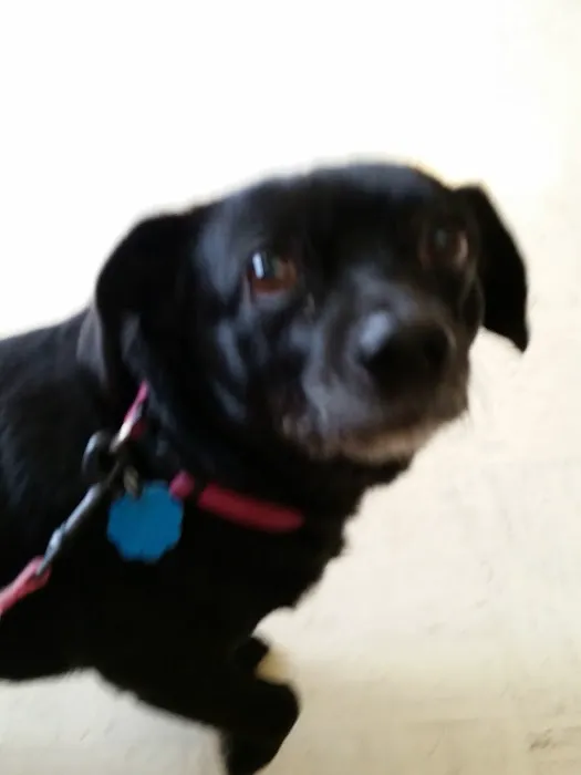 Odon Veterinary Clinic Inc 4
