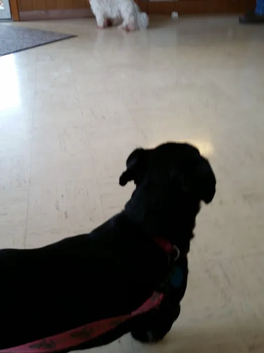 Odon Veterinary Clinic Inc 5