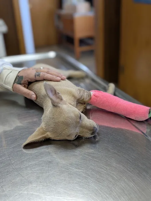 Odon Veterinary Clinic Inc 10