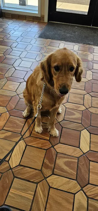 South Heritage Animal Hospital 12
