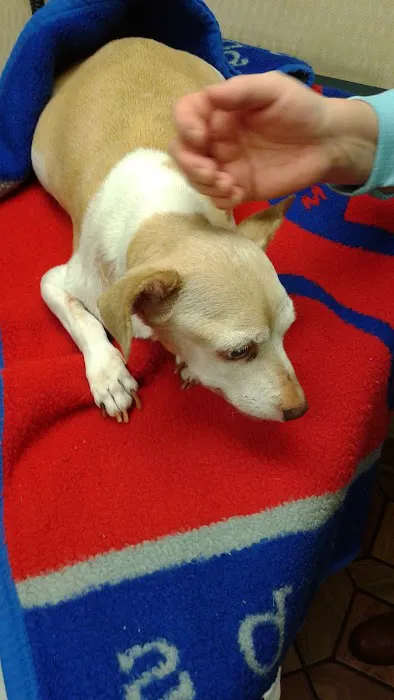 South Heritage Animal Hospital 12