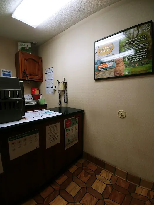 South Heritage Animal Hospital 12