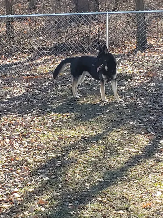 South Heritage Animal Hospital 12