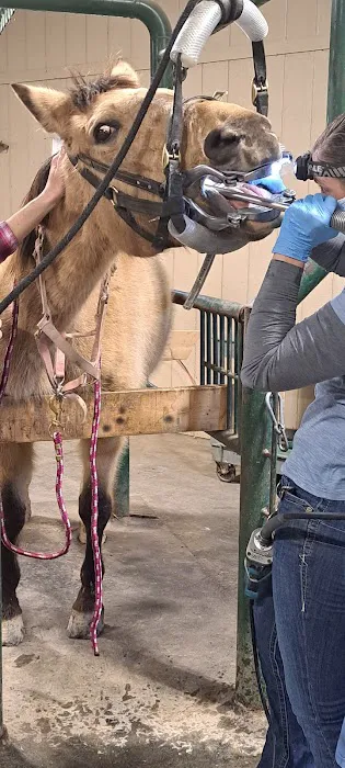 Regional Veterinary Services 12