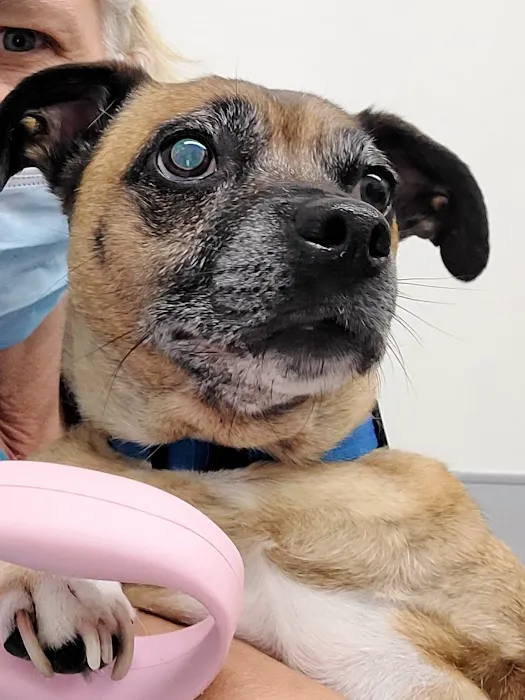 Great Miami Veterinary Care (prev AMC Miamisburg) 12