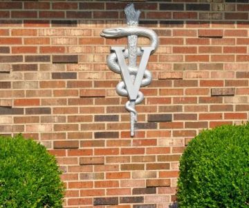 Animal Medical Center of Miamisburg