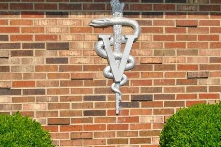 Animal Medical Center of Miamisburg