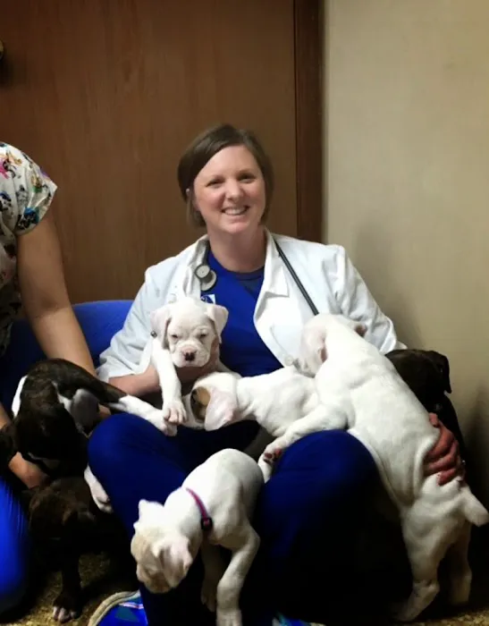 Animal Medical Center of Miamisburg 4