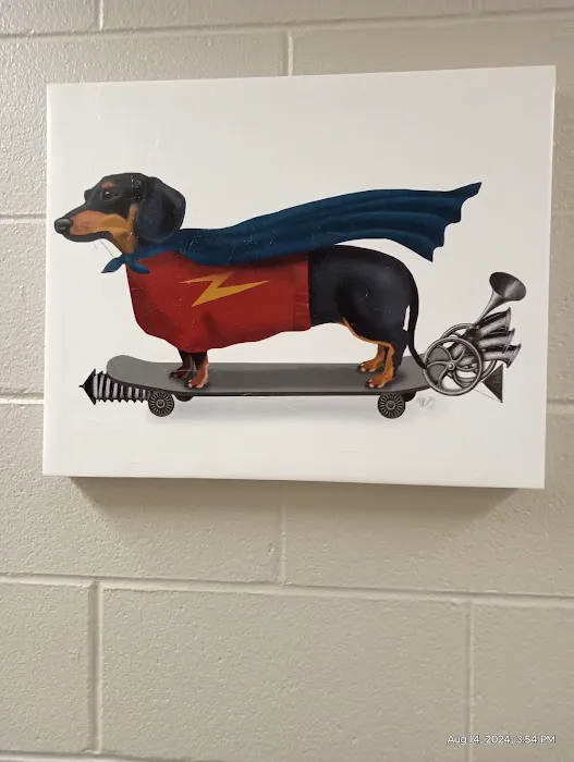 Dayton Humane Spay & Neuter Clinic 5