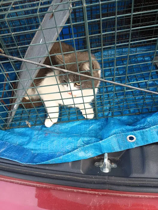 Dayton Humane Spay & Neuter Clinic 6