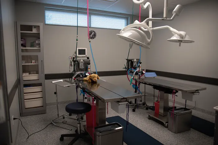 Dayton Humane Spay & Neuter Clinic 7