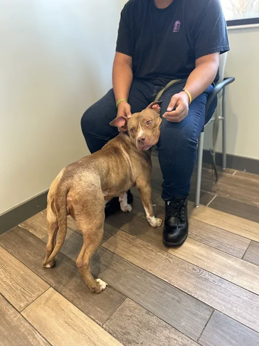 Dayton Humane Veterinary Hospital 3