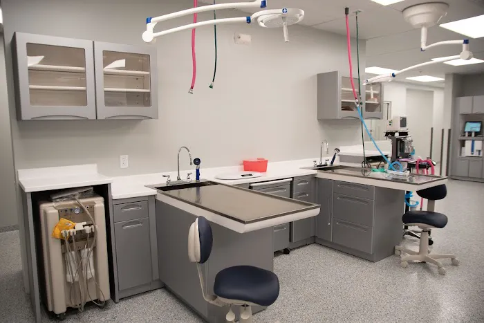 Dayton Humane Veterinary Hospital 5