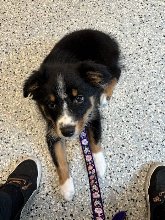 Dayton Humane Veterinary Hospital 6