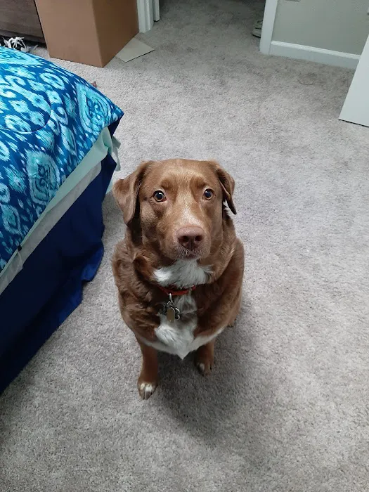Banfield Pet Hospital 1