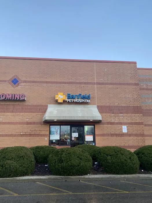 Banfield Pet Hospital 2