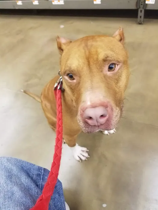 Banfield Pet Hospital 8