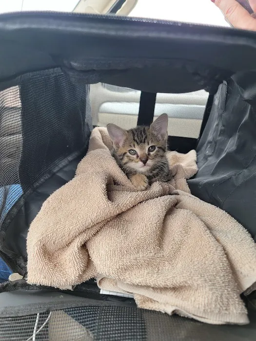 Banfield Pet Hospital 10