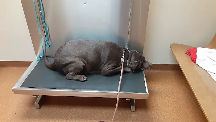 Fairborn Animal Hospital 2