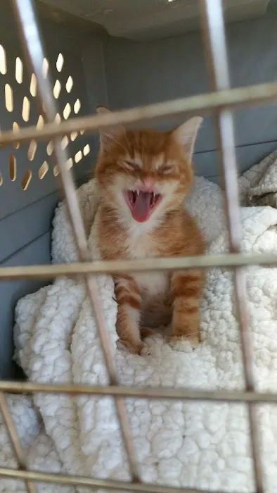 Fairborn Animal Hospital 8