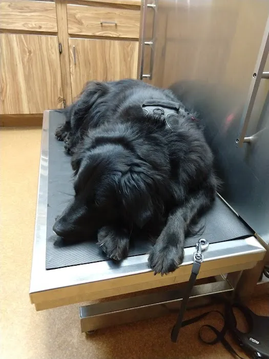 Fairborn Animal Hospital 4