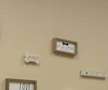 Wright-Patterson AFB Veterinarian Services