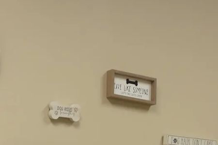 Wright-Patterson AFB Veterinarian Services