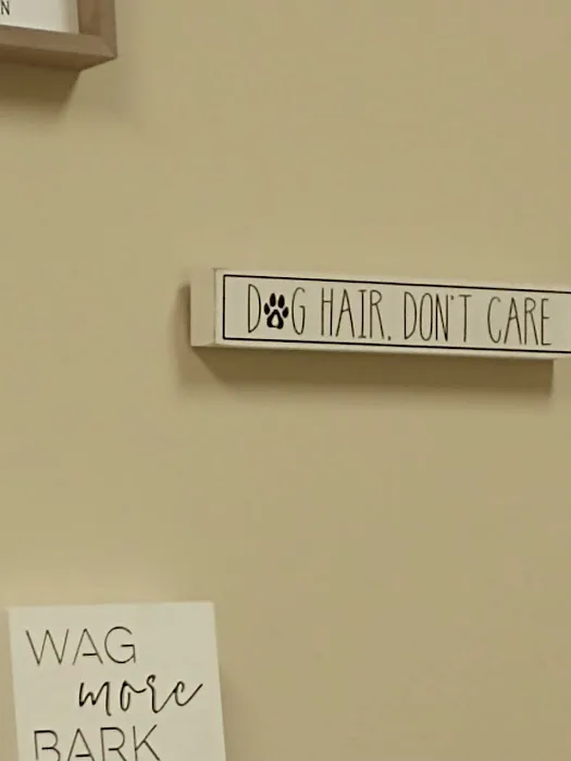 Wright-Patterson AFB Veterinarian Services 9