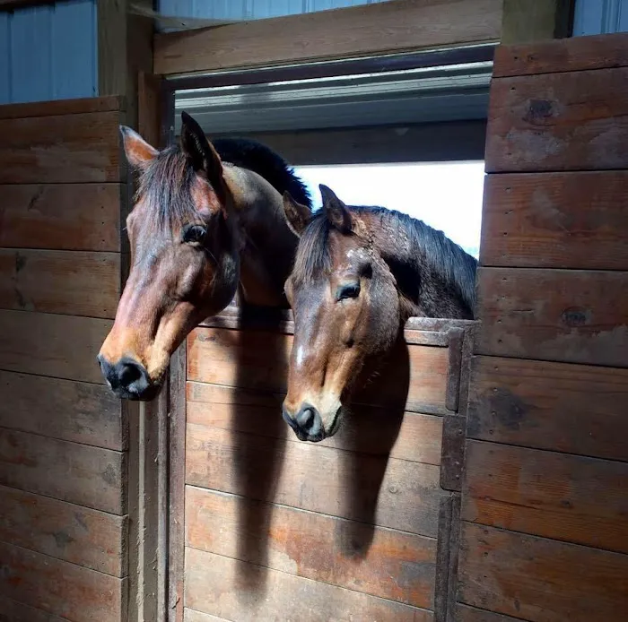 The Pony Express Veterinary Hospital 6