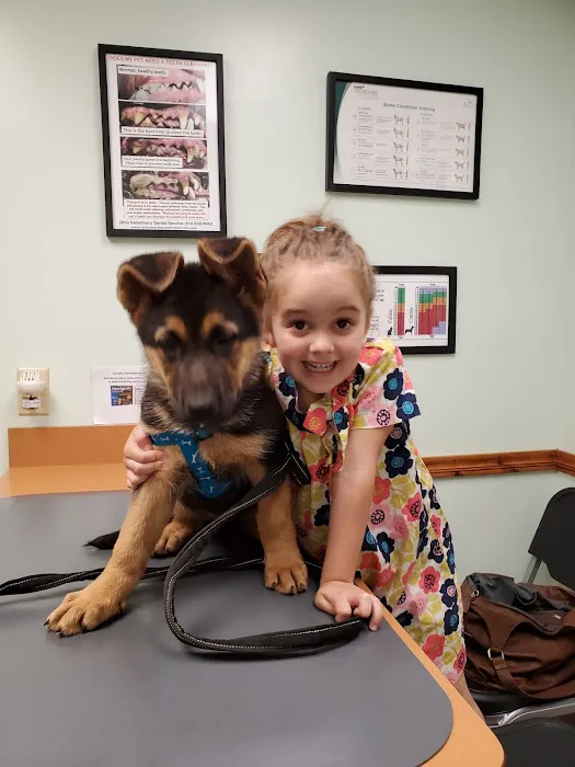 The Pony Express Veterinary Hospital 9